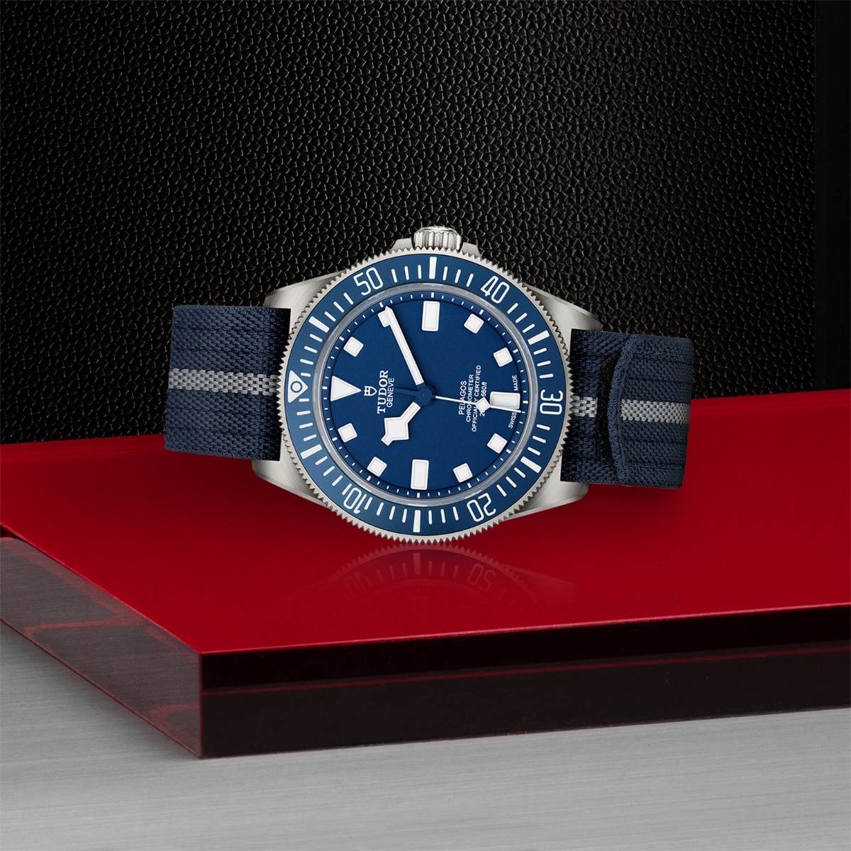 Tudor Pelagos - M25707B-0001 | Europe Watch Company