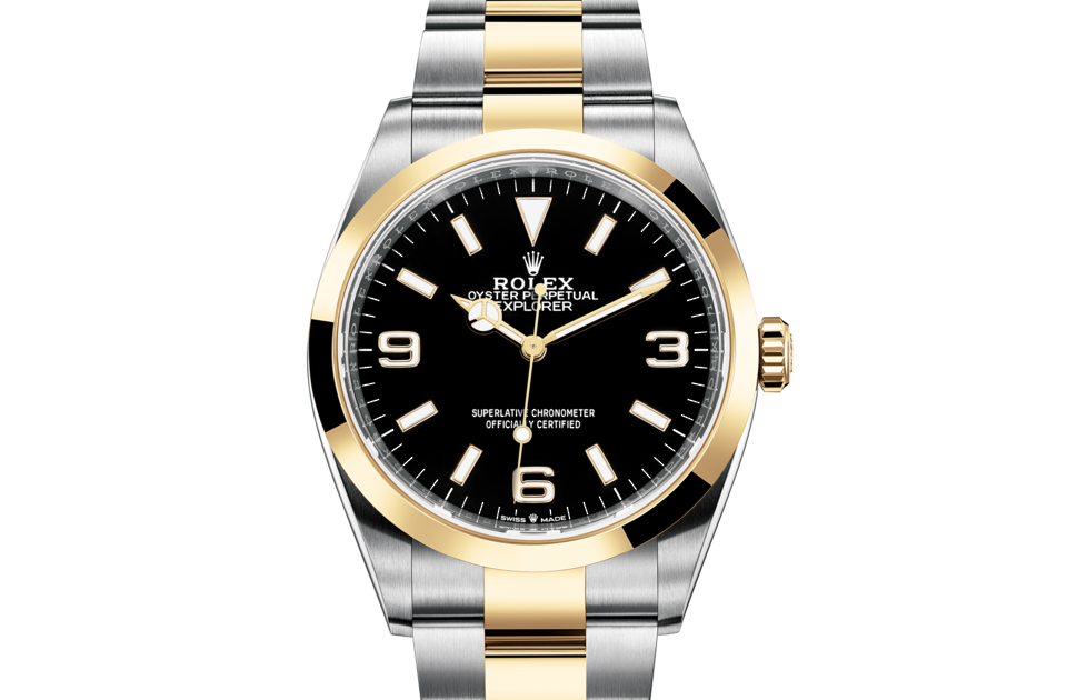 Rolex Explorer in Oystersteel and gold, m124273-0001 | Europe Watch Company