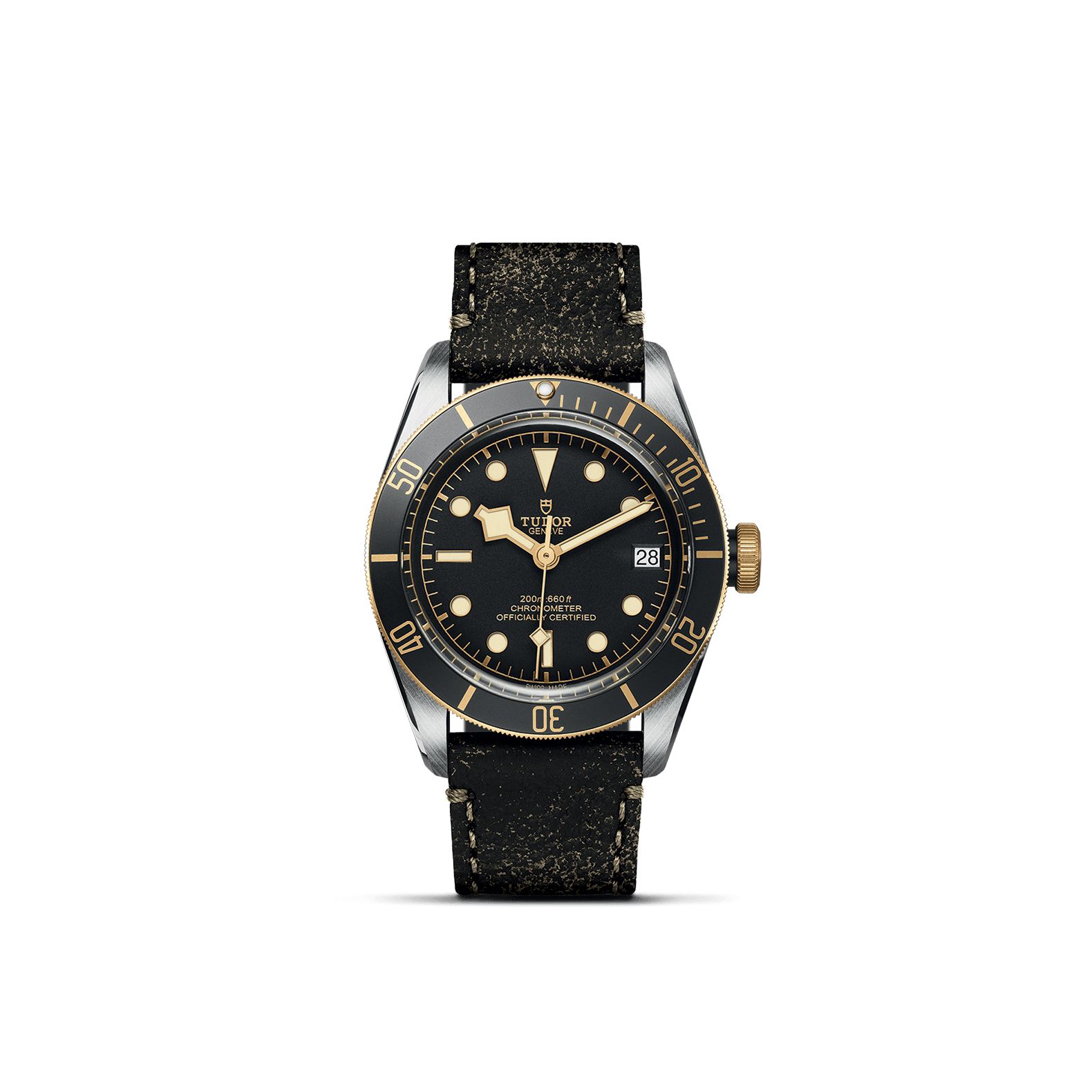 Tudor Black Bay - M79733N-0007 | Europe Watch Company