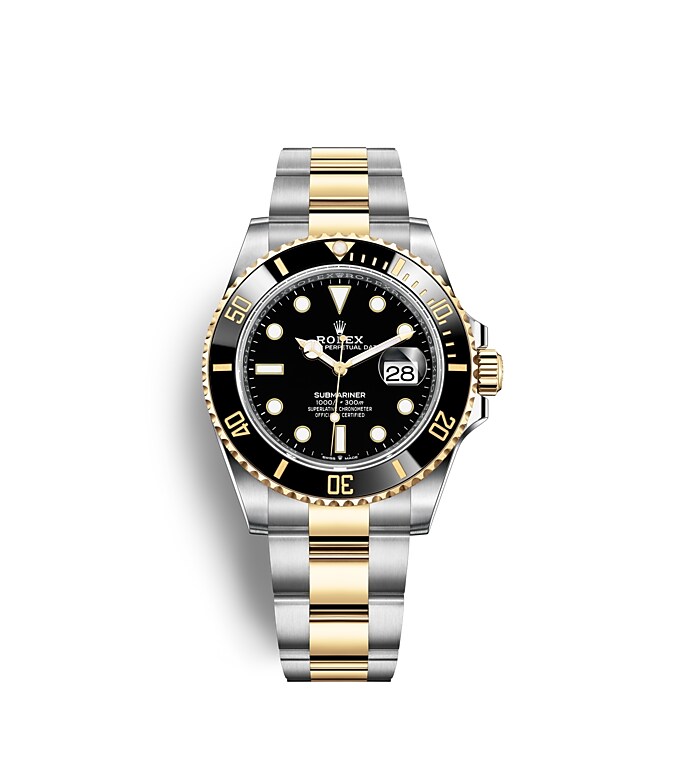 Rolex Explorer in Oystersteel and gold, m124273-0001 | Europe Watch Company
