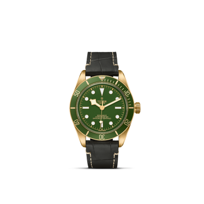 Tudor Black Bay - M79733N-0006 | Europe Watch Company